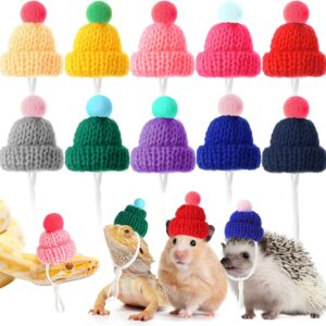 10 Pieces Pet Snake Hat Snake Hat with Adjustable Chin Strap Bearded Dragon Hamster Hat Cute Tiny Hat for Pets Adjustable Snake Hat with Pompon for Small Animal Birthday Christmas Theme Party Supplies