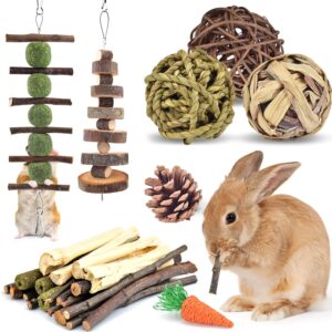 ERKOON Rabbits Chew Toys, Small Animal Wooden Boredom Breakers 8 Kinds of Hamster Chew Toys, Rabbit Chew Treat Apple Sticks Molar Toys Teeth Care for Rabbits Hamster Guinea Pigs Chinchillas Gerbils