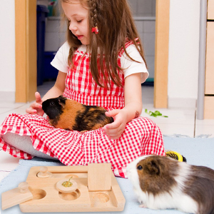 guinea pig toys