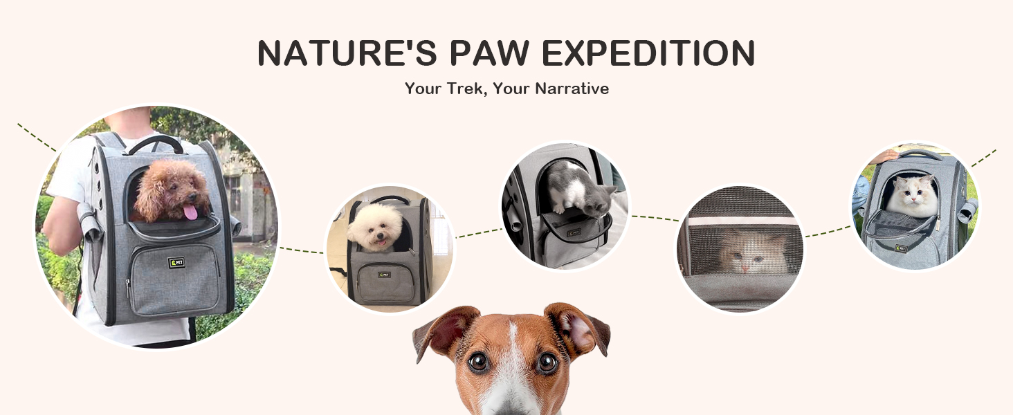 ALLSOPETS
