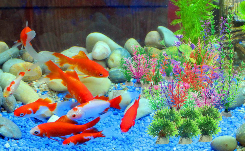 aquarium plastic plants