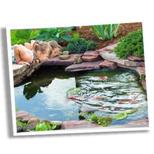 pond clear pond cleaner pond clarifier pond bacteria fish pond pond barley bales pond foam