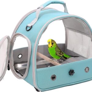 Interfashioner® Small Bird Travel Carrier, Portable Bird Cage for Parrot Parakeet Budgie Reptile with Stainless Steel Tray and Wooden Perch (Green)