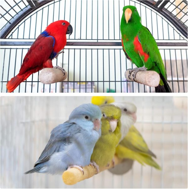 PATIKIL 0.8x7.8 Inch Bird Cage Perch, Parrot Stand Paw Grinding Stick Bird for Parakeet Cockatiel Cage Accessory, Green - Image 5