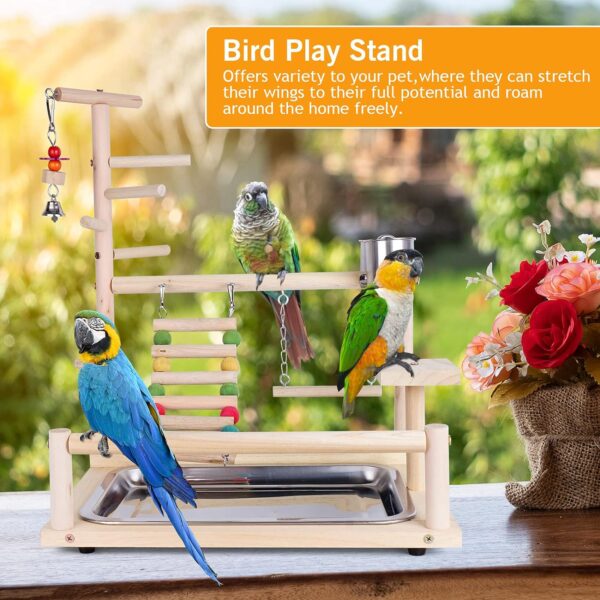 Bird Perch Stand Toy, Wooden Parrot Playground Gym, Budgie toys, Bird Cage - budgie cage - parrot cage Accessories for Small Parakeets, Cockatiels, Finches, Budgie(40 * 26 * 8CM) - Image 6