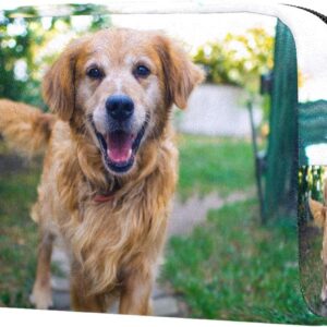 Cosmetic Bag for Women Pet Dog Adorable Roomy Makeup Bags Travel Toiletry Bag Accessories Organizer Cute Gifts 18.5x7.5x13cm