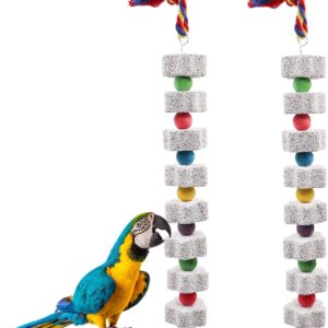 2 Pack Large Bird Chewing Toy, Parrot Beak Grinding Calcium Stone with Bells, Bird Cage Accessories, Cage Toys for Cockatiel Parakeet Parrot Budgies Rat Hamster Chinchilla Rabbit Bunny African Grey