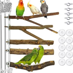 5 PCS Bird Parrot Perches for Cage 9.84 inches Natural Wood Perch Platform Stand for Parrots Birds Cage Parakeets Cockatiels Conures Cages Accessories (5 PCS)