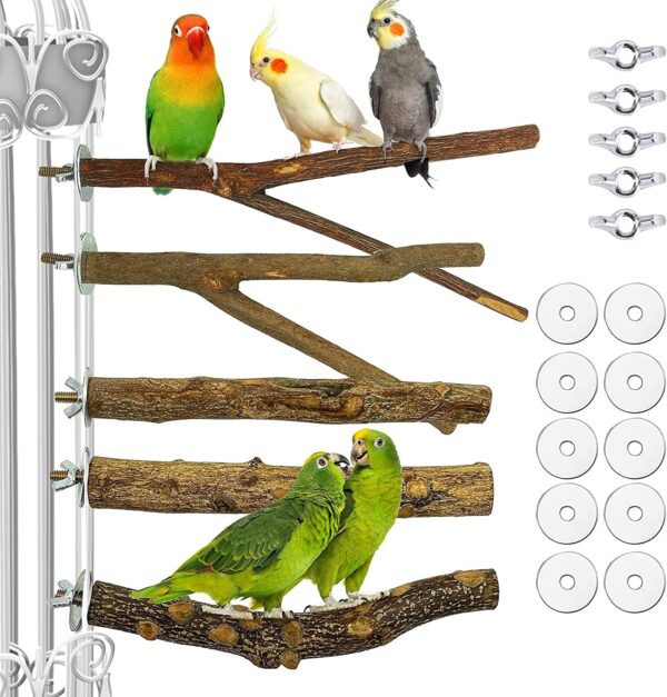 5 PCS Bird Parrot Perches for Cage 9.84 inches Natural Wood Perch Platform Stand for Parrots Birds Cage Parakeets Cockatiels Conures Cages Accessories (5 PCS)