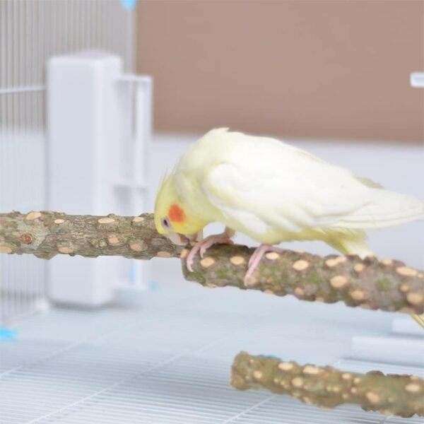 Gobesty Bird Perch Stand, Bird Cage Accessories, 5 PCS Bird Parrot Perches, Natural Wood Parrot Perch Bird Cage Branch for Parakeets Cockatiels Conures Macaws Finches Love Birds - Image 6