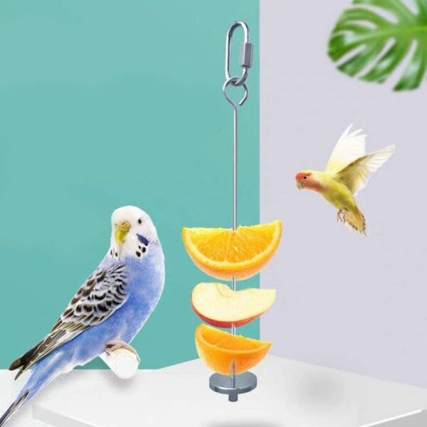 Wudong 2 Pcs Parrot Skewer,Stainless Steel Vegetable Fruit Stick Hanging Holder Birds Foraging Toy Spear Feeder for Bird Cage Accessories - Image 7