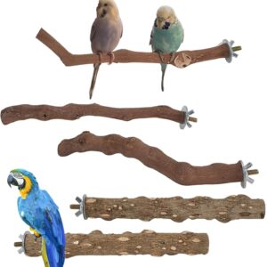 5PCS Parrot Perches Bird Stand, Natural Wood Parrot Stand Platform for Indoor, Small Birds Feeder Pole Budgie Toys, Paw Grinding Chewing Stick Birdcage Accessory for Cockatiel Parakeet Lovebird