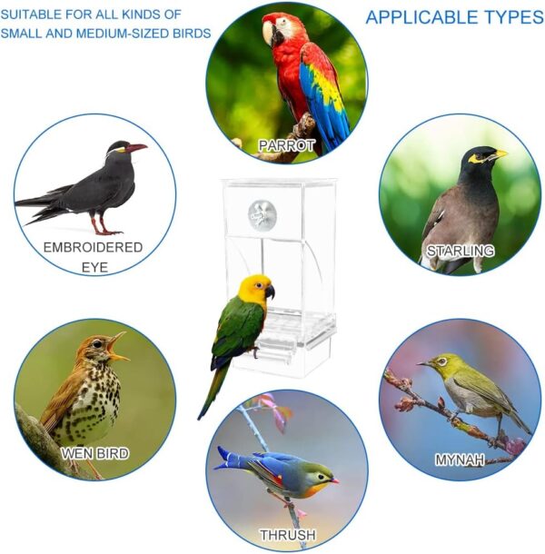 Automatic Bird Feeder Bird Feeder Acrylic Bird Cage Feeder Hanging Seed Food Container Perch Cage Accessories for Small Medium Budgerigar Canary Cockatiel Finch Parakeet Easy to Install Clean - Image 6