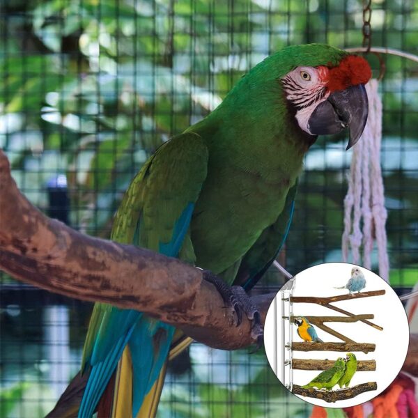 Gobesty Bird Perch Stand, Bird Cage Accessories, 5 PCS Bird Parrot Perches, Natural Wood Parrot Perch Bird Cage Branch for Parakeets Cockatiels Conures Macaws Finches Love Birds - Image 7