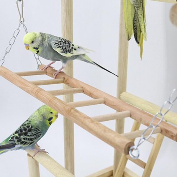 Holzsammlung Bird Playground, Wooden Parrot Stand Bird Play Stand, Parrot Perch Stand with Ladder, Bird Play Gym Toy Cage Accessories for Small Middle Parakeets Cockatiels Finches Budgie Lovebirds - Image 3