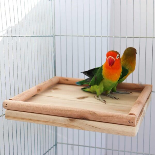 Parrot Bird Perch Stand, Bird Platform Toy, Natural Wooden Bird Cage Stand Pole Accessories, Paw Grinding Standing Climbing Perch for Birds Parrots Rats Parakeets Budgies Love Birds 20 × 20 CM - Image 2