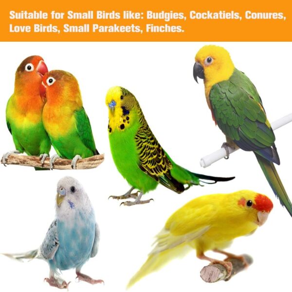 Yorgewd 8-Pack Bird Toys Parrots Cage Toys Hanging Swing Shredding Chewing Perches Parrot Toy Parrot Bite Toy for Budgie, Cockatiels, Conures, Finches, Small Parakeets - Image 6
