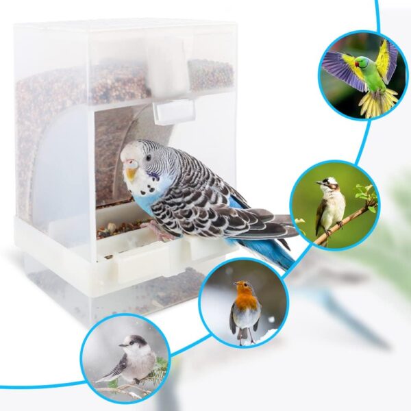 JVHLOV Automatic Bird Feeder, Bird Cage Accessory Transparent Hanging Seed Food Container, No Mess Bird Cage Feeders Parrot Seed Tube, for Parakeet Canary Cockatiel Finch - Image 6