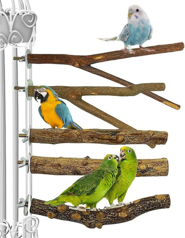 Gobesty Bird Perch Stand, Bird Cage Accessories, 5 PCS Bird Parrot Perches, Natural Wood Parrot Perch Bird Cage Branch for Parakeets Cockatiels Conures Macaws Finches Love Birds - Image 8