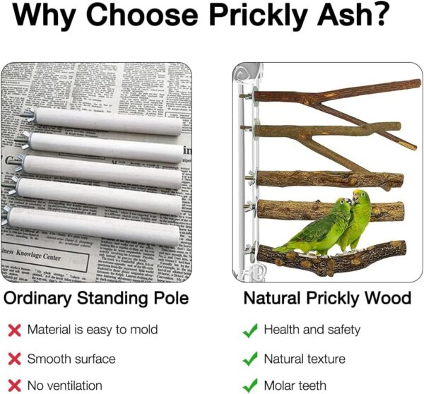 Gobesty Bird Perch Stand, Bird Cage Accessories, 5 PCS Bird Parrot Perches, Natural Wood Parrot Perch Bird Cage Branch for Parakeets Cockatiels Conures Macaws Finches Love Birds - Image 5