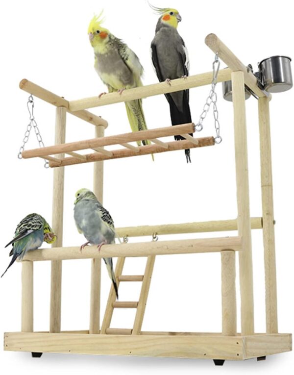 Holzsammlung Bird Playground, Wooden Parrot Stand Bird Play Stand, Parrot Perch Stand with Ladder, Bird Play Gym Toy Cage Accessories for Small Middle Parakeets Cockatiels Finches Budgie Lovebirds - Image 7