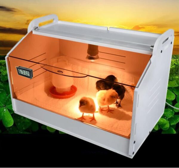 XJZHANG Intelligent Brooder Warm Box,10-30 Baby Chicks & Small Animals Manual Incubator Heater Coop Brooder Cage Habitat Supplies - Image 6