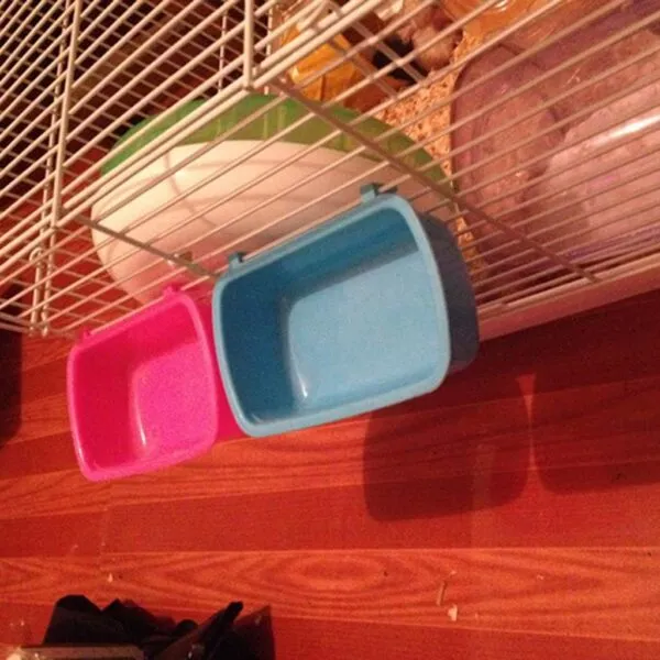 Small Animal Water Food for Case with Hooks Cage Hook Cup Bowl Rectangle for Bird Hamster Parrot - Image 5