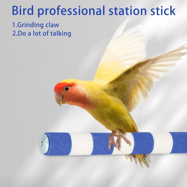 Parrot Perch, 20cm Budgie Perch Sandstone Parrot Perches for Cage Blue Bird Platform Stand Paw Grinding Stick Aviary Accessories for Training Conure Budgie Cockatiel - Image 7