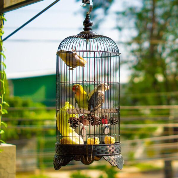 Bird Perch Stand Perches for Bird Cages,Bird Cage Parrot Toys Natural Wood Bird Perch Stand,Bird Cage Accessories for Parrots for Cockatiels, Small Birds - Image 3