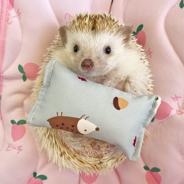 Ymid Select 4 Pcs Hedgehog Mini Pillows Small Animal Toys Habitat Decor Cage Accessories Hedgehog Supplies Photo Props Toy for Ferret,Rabbit,Bird,Parrot,Mouse,Chinchilla, Rat,Gerbil,Dwarf Hamster - Image 8