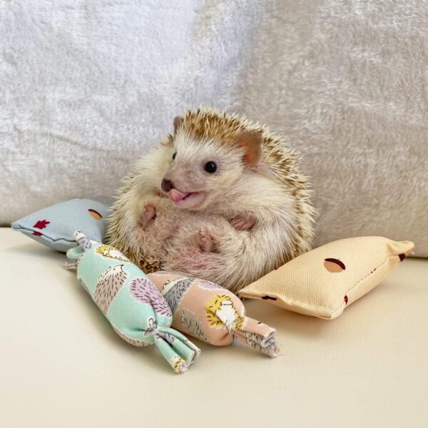 Ymid Select 4 Pcs Hedgehog Mini Pillows Small Animal Toys Habitat Decor Cage Accessories Hedgehog Supplies Photo Props Toy for Ferret,Rabbit,Bird,Parrot,Mouse,Chinchilla, Rat,Gerbil,Dwarf Hamster - Image 3