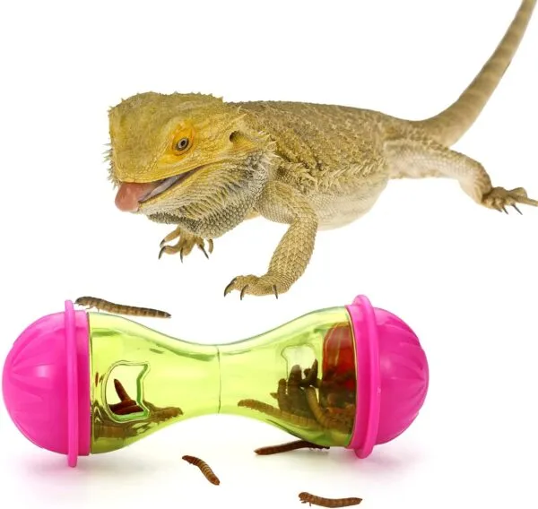 Kathfly Bearded Dragon Toys (3pcs) - Reptile Enrichment Ball Accessories, Food Toys, Transparent Design, Pet Tank Decor, Lizard Gecko Small Animal Habitat Terrarium - Image 6