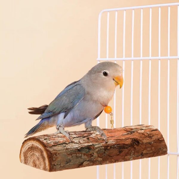 Okllen Set of 8 Natural Wood Bird Perches, Bird Parrot Stand Platform, Parakeet Toys Stand Branches Bird Cage Accessories for Small Birds Conure, Chinchilla, Parakeet, Budgie, Cockatiel - Image 6