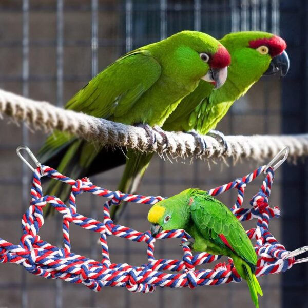 2 Pack Colorful Bird Rope Net, Rat Climbing Rope Net, Pet Hanging Hammock, Bird Ladder Rope Bridge, Small Animal Rope Net Toy, Cage Decor Accessories for Rat Hamster Bird Ferret - 28 × 20 cm - Image 4