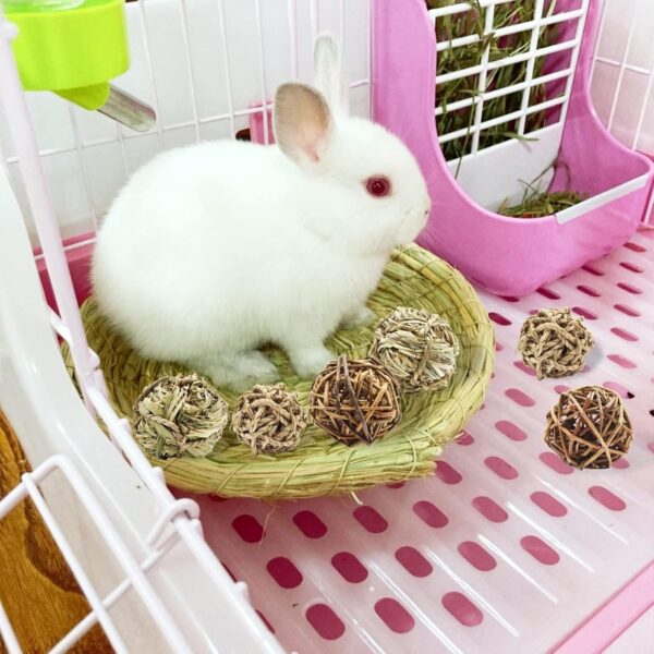 Hioph 6 Pcs Rabbit Chew Ball, Bunny Treats Chew Toys for Teeth, Small Animal Natural Timothy Grass Molar Ball, Guinea Pigs Activity Play Rattan Woven Balls - Image 2