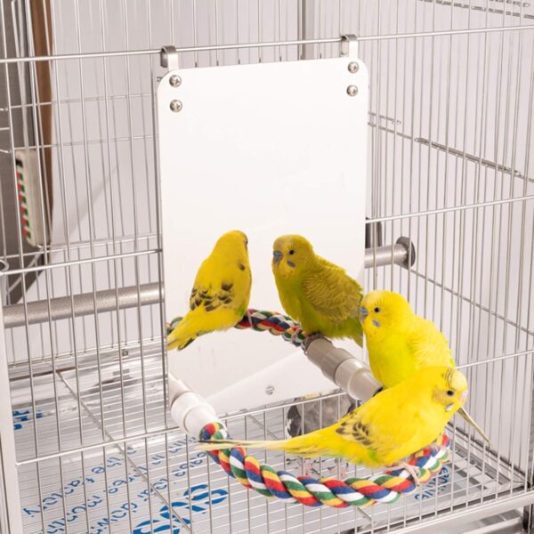 HYLYUN 7 Inch Bird Mirror with Rope Perch Cockatiel Mirror for Cage Bird Toys Swing Parrot Cage Toys for Parakeet Cockatoo Cockatiel Conure Lovebirds Finch Canaries - Image 4