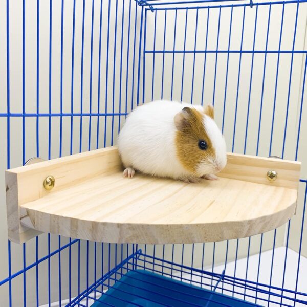 3PCS Hamster Wooden Platform Perch Stand, Natural Bird Budgie Toys and Accessories, Parrot Cage Perch for Chinchilla Mouse Rat Dwarf Hamster Small Animals - Box Packaging - Image 6