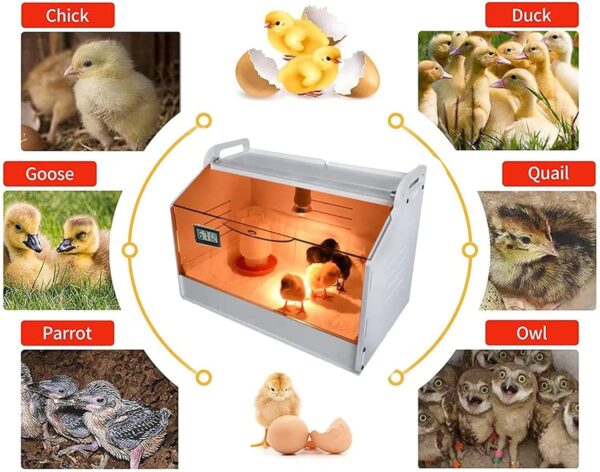 XJZHANG Intelligent Brooder Warm Box,10-30 Baby Chicks & Small Animals Manual Incubator Heater Coop Brooder Cage Habitat Supplies - Image 2