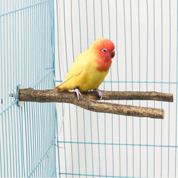 NA Allazone 6 PCS Natural Wood Bird Perch Stand, T shape Bird Parrot Perch Stand Set, Wooden Parrot Perch Stand Perch Platform Cage Accessories for Parrotlets Cockatiels - Image 6