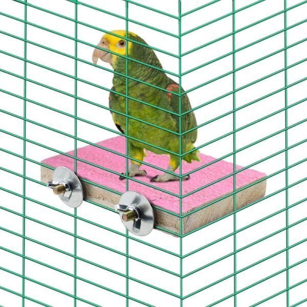 PINVNBY Bird Perch Stand Toy Natural Wooden Parrot Claw Sticks Budgie Playground Grinding Paw Cage Accessories Exercise Toy for Cockatiel Conure Parakeet - Image 3