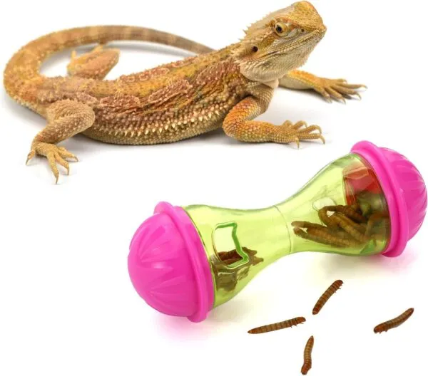 Kathfly Bearded Dragon Toys (3pcs) - Reptile Enrichment Ball Accessories, Food Toys, Transparent Design, Pet Tank Decor, Lizard Gecko Small Animal Habitat Terrarium - Image 5