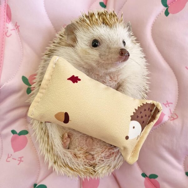 Ymid Select 4 Pcs Hedgehog Mini Pillows Small Animal Toys Habitat Decor Cage Accessories Hedgehog Supplies Photo Props Toy for Ferret,Rabbit,Bird,Parrot,Mouse,Chinchilla, Rat,Gerbil,Dwarf Hamster - Image 9