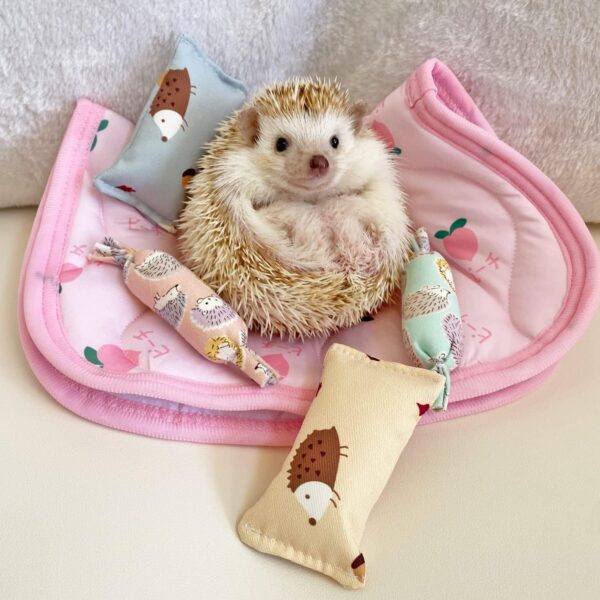 Ymid Select 4 Pcs Hedgehog Mini Pillows Small Animal Toys Habitat Decor Cage Accessories Hedgehog Supplies Photo Props Toy for Ferret,Rabbit,Bird,Parrot,Mouse,Chinchilla, Rat,Gerbil,Dwarf Hamster - Image 5