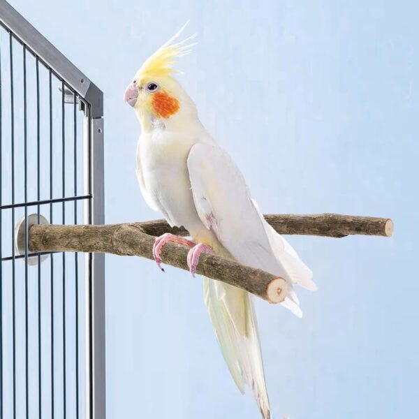 Okllen Set of 8 Natural Wood Bird Perches, Bird Parrot Stand Platform, Parakeet Toys Stand Branches Bird Cage Accessories for Small Birds Conure, Chinchilla, Parakeet, Budgie, Cockatiel - Image 5