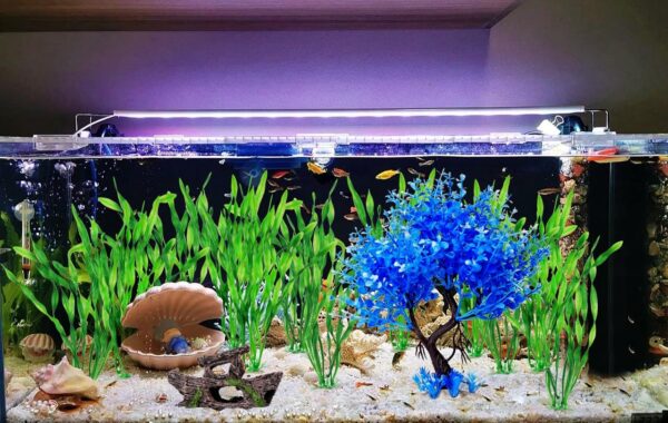 Aquarium Fish Tank Decorations, 16 Pcs Blue Tree & Green Seaweed & Shipwreck Decor Ship Ornament, Artificial Plastic Plants Set for Betta Fish, Goldfish, Turtle - Image 5