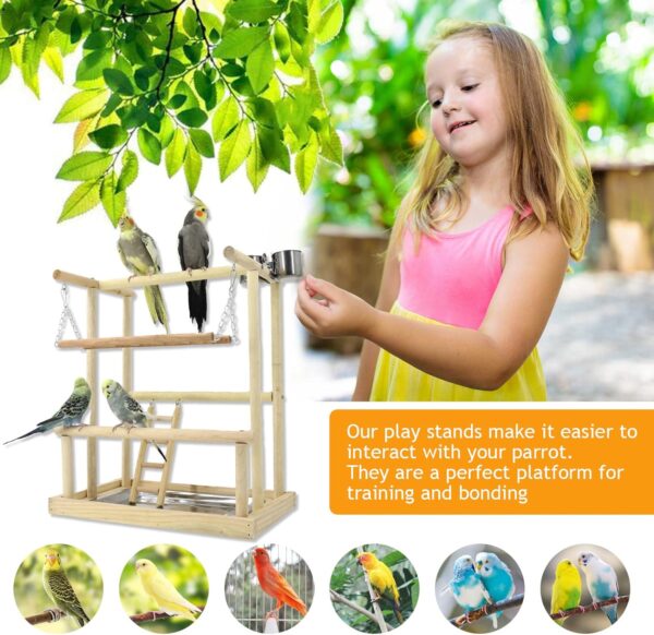 Holzsammlung Bird Playground, Wooden Parrot Stand Bird Play Stand, Parrot Perch Stand with Ladder, Bird Play Gym Toy Cage Accessories for Small Middle Parakeets Cockatiels Finches Budgie Lovebirds - Image 2