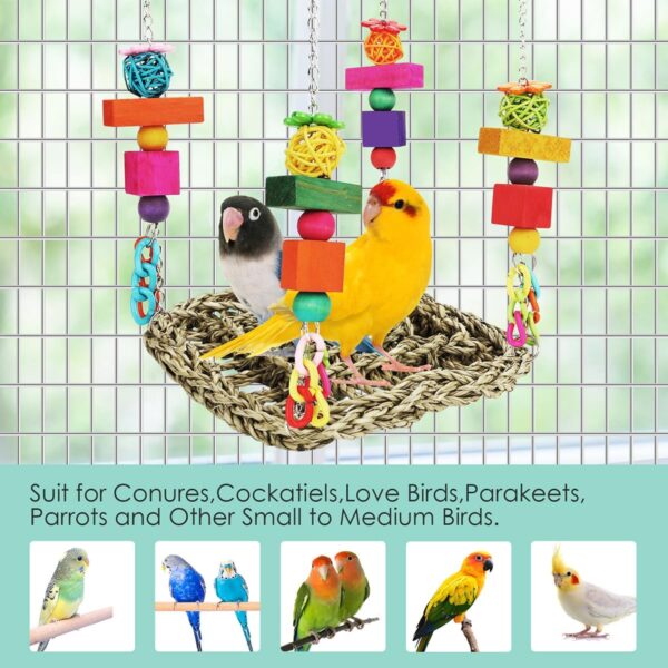 Bird Toys Parakeet Toys Conure Toys Bird Foraging Wall Toy,Seagrass Woven Hammock Swing Mat for Climb Perch Swing with Colorful Wooden Chewing Toys for Lovebirds,Parakeets,Conure,Cockatiel (Middle) - Image 4