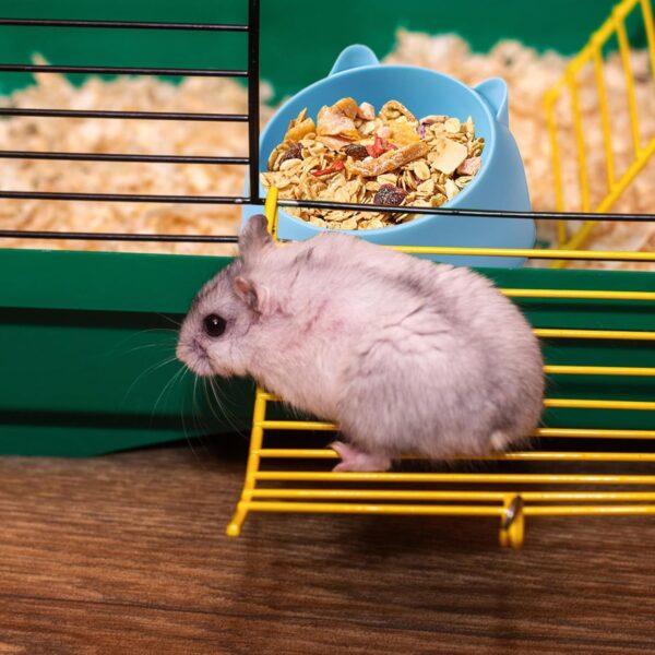 SHERPR Hamster Bowl,Pet Hamster Bowl - Small Animal Supplies, Prevent Tipping, Food and Water Dish for Small Animals Hamster Guinea - Image 3