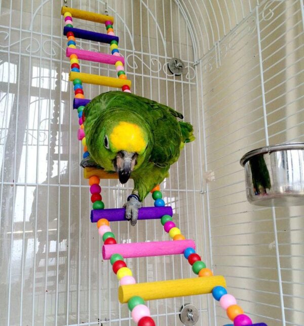 10Pack Pet Bird Toys Bead Swing Bell String Wood Nibble Skewer Bridge Ladder Station Board Platform Skateboard Cage Accessories for Parrot Macaw Parakeet Conure Cockatiel Budgie & Lovebirds Gift - Image 6