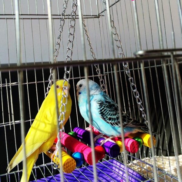 Gwotfy Budgie Toys, Bird Swing, Bird Parrot Toys, 2 Packs Bird Swing Toy, Pet Bird Parrot Parakeet Budgie Cockatiel Cage Hammock Swing Toy - Image 6